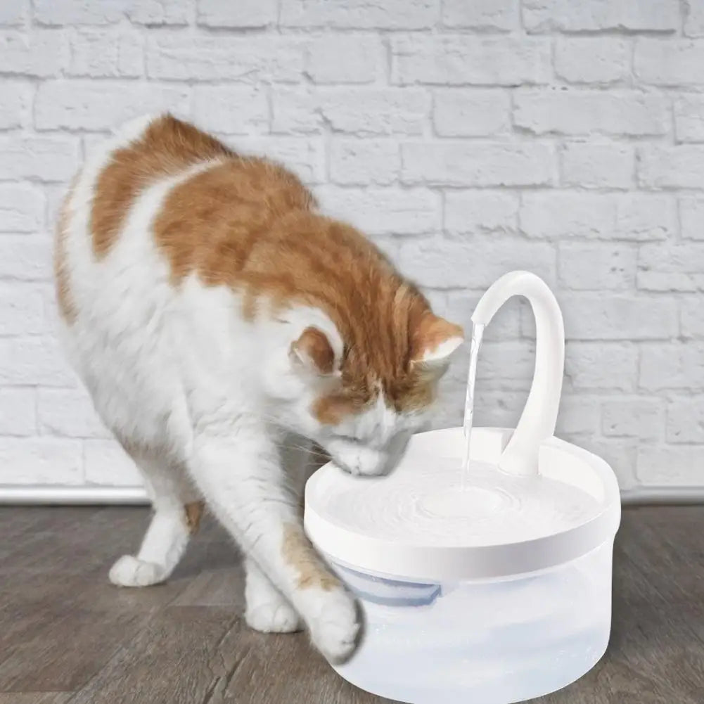 Pet Water Fountain Automatic Dispenser 2L LED