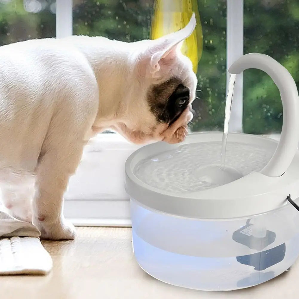 Pet Water Fountain Automatic Dispenser 2L LED