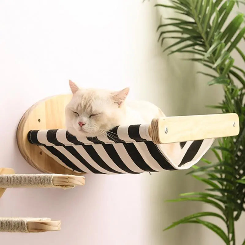 1 Piece Cat Wall Climbing Shelf,Ladder,Hammock