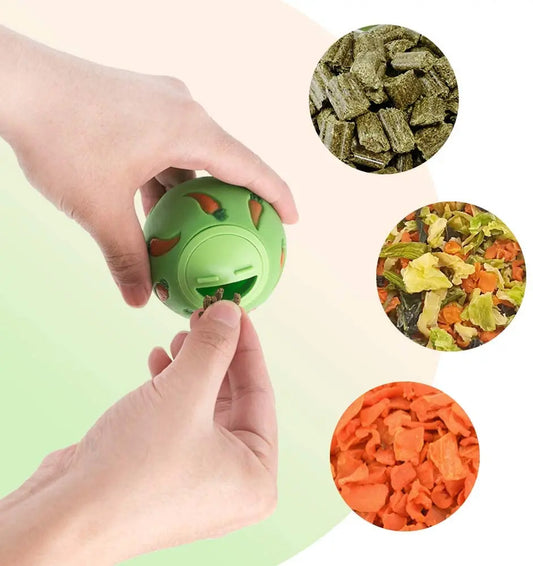 Rabbit, Ferret Treat Ball Slow Feeder Toy