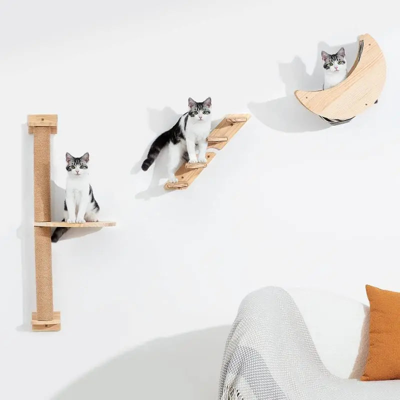 1 Piece Cat Wall Climbing Shelf,Ladder,Hammock