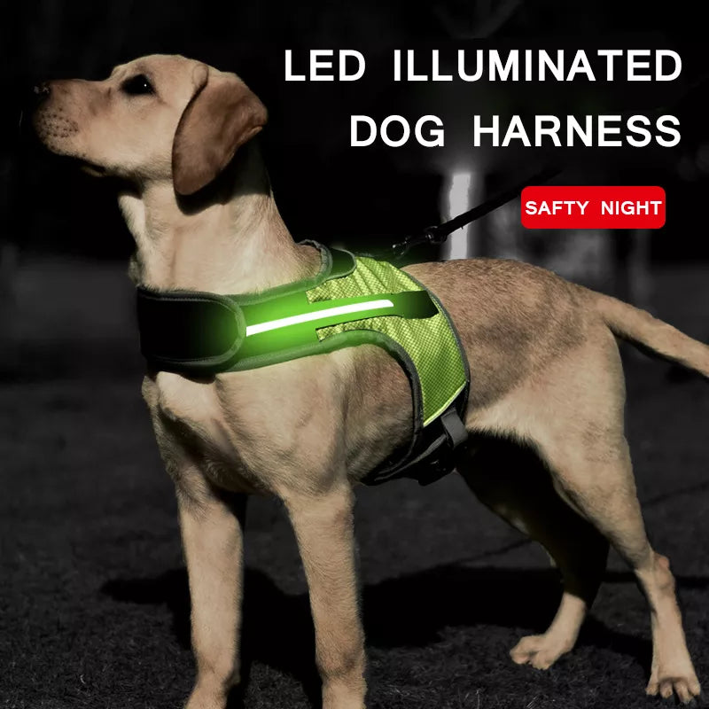 Large Dog Harness LED Chest Strap Vest