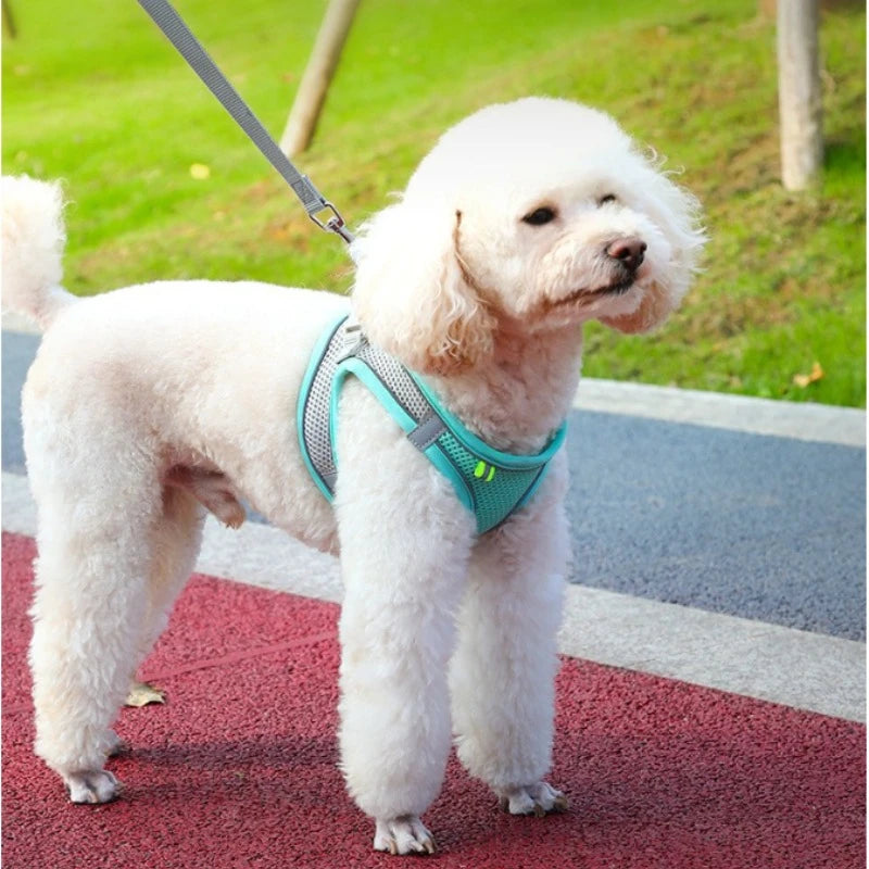 Pet Reflective Dog Harness Small Dog Adjustable Puppy Harness Vest Dog Teddy Koki Outdoor Walking Lead Leash Cat Chest Strap